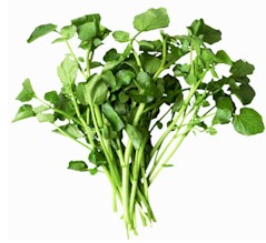 Health Benefits of Watercress - Juicing For Health