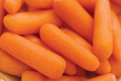 are carrots bad for dogs related keywords suggestions for small carrots are carrots bad for dogs related keywords suggestions for small carrots
